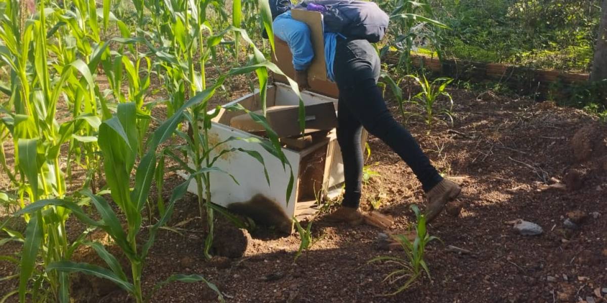 WhatsApp Image 2023-03-08 at 15.19.54 - Copia.jpeg